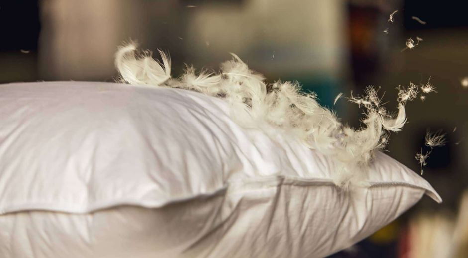 Aerofoam Ltd European Duck Feather & Down Cushions