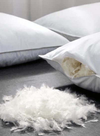 European Duck Feather & Down Cushions